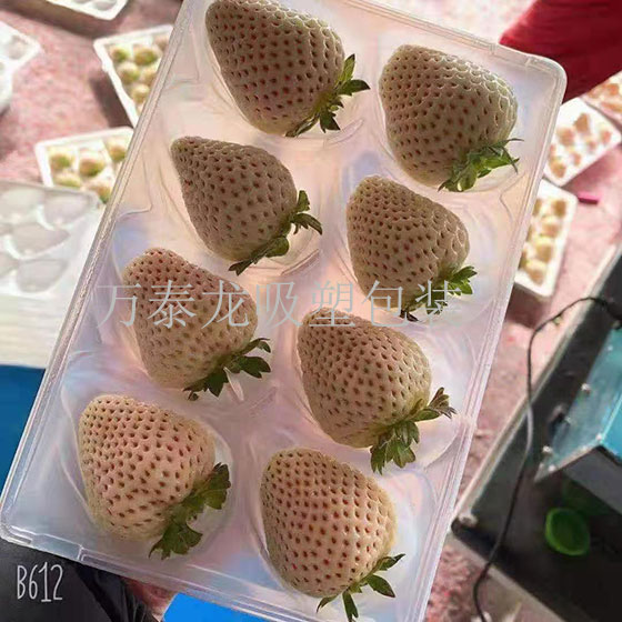 ݮu@ data-bd-imgshare-binded=